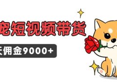 东哲日记·萌宠短视频带货,2天佣金9000+