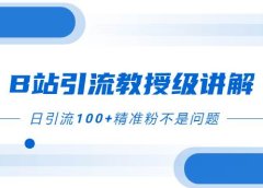 B站引流教授级讲解,细节满满,日引流100+精准粉不是问题