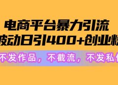 电商平台暴力引流,被动日引400+创业粉不发作品,不截流,不发私信