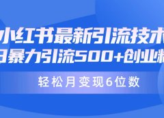 日引500+月变现六位数24年最新小红书暴力引流兼职粉教程