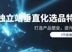 独立站-垂直化选品训练营,打造产品壁垒,提升网站利润(3节直播课)