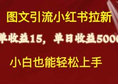 图文引流小红书拉新一单15元，单日暴力收益5000+，小白也能轻松上手