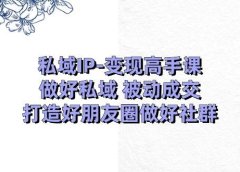 私域IP-变现高手课:做好私域 被动成交,打造好朋友圈做好社群(18节)
