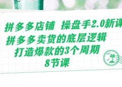 拼多多店铺 操盘手2.0新课,拼多多卖货的底层逻辑,打造爆款的3个周期-8节