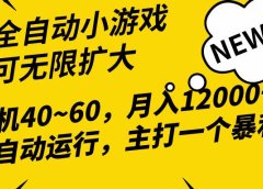 2024最新全网独家小游戏全自动，单机40~60,稳定躺赚，小白都能月入过万