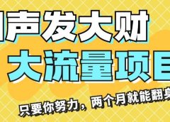 闷声发大财,大流量项目,月收益过3万,只要你努力,两个月就能翻身