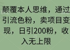 颠覆本人思维，通过引流色粉，卖项目变现，日引200粉，收入无上限