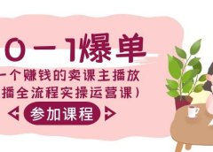 从0-1爆单-做一个赚钱的卖课主播放（直播全流程实操运营课）