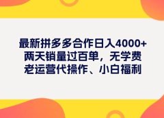 最新拼多多项目日入4000+两天销量过百单,无学费、老运营代操作、小白福利