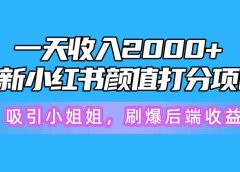 一天收入2000+，最新小红书颜值打分项目，吸引小姐姐，刷爆后端收益