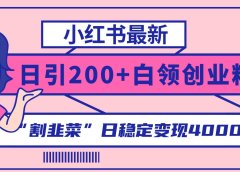 小红书最新日引200+创业粉”割韭菜“日稳定变现4000+实操教程！