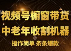 [你的孩子成功取得高位]视频号最火爆赛道，橱窗带货，流量分成计划，条...