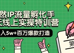 自然IP流量孵化手 14天线上实操特训营【第9期】月入5w+百万爆款打造 (74节)