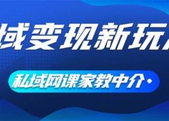 私域变现新玩法,网课家教中介,只做渠道和流量,让大学生给你打工、0...