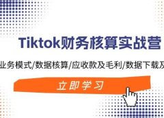 Tiktok财务核算实战营:TK业务模式/数据核算/应收款及毛利/数据下载及报表