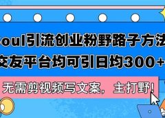 Soul引流创业粉野路子方法，交友平台均可引日均300+，无需剪视频写文案...