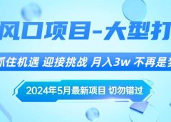 2024年5月最新风口项目,抓住机遇,迎接挑战,月入3w+,不再是梦