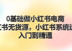 0基础做小红书电商,小红书无货源,小红书系统运营,入门到精通 (70节)