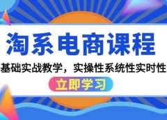 淘系电商课程,0基础实战教学,实操性系统性实时性(15节课)