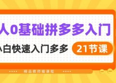 新人0基础拼多多入门,纯小白快速入门多多(21节课)