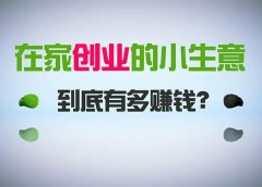 在家创业,日引300+创业粉,一年收入30万,闷声发财的小生意,比打工强
