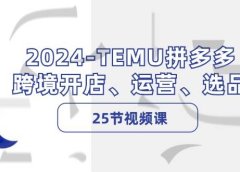 2024-TEMU拼多多·跨境开店、运营、选品(25节视频课)
