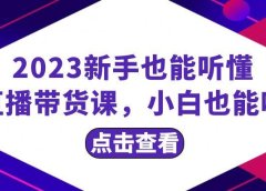 2023新手也能听懂的直播带货课，小白也能听懂，20节完整