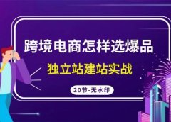 跨境电商怎样选爆品,独立站建站实战(20节高清无水印课)