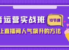 抖音运营实战班，掌握让直播间人气飙升的方法（10节课）