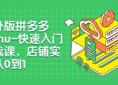 海外版拼多多Temu-快速入门实战课,店铺实战从0到1(12节课)
