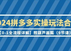 2024拼多多实操玩法合集【0-1全流程详解】照葫芦画瓢(9节课)