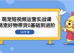 萌宠·短视频运营实战课：萌宠好物带货0基础到进阶（38节课）