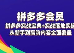 拼多多 会员,拼多多实战宝典+实战落地实操,从新手到高阶内容全面覆盖