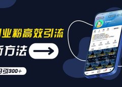 创业粉高效引流，抖音工具号玩法，日引300+，不要成为学习高手，要成为...
