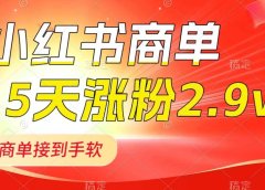 小红书商单最新玩法,新号15天2.9w粉,商单接到手软,1分钟一篇笔记