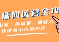 直播间-运营全攻略：做由容，搞流量，赚收入一快速从小白到内行（46节课）