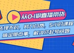 教您从0-1做直播带货:选择不对,努力白费,5小时课程搞定那点事,解决你起号问题