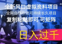全新风口虚拟资料项目 全网自然引流可持续长久项目 复制粘贴即可可矩阵...