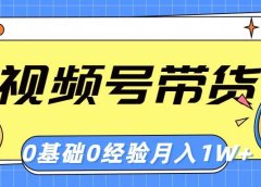 视频号轻创业带货,零基础,零经验,月入1w+