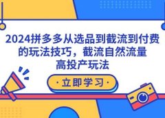 2024拼多多从选品到截流到付费的玩法技巧,截流自然流量玩法,高投产玩法