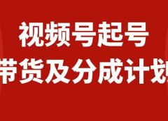 视频号快速起号，分成计划及带货，0-1起盘、运营、变现玩法，日入1000+