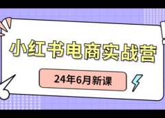 小红书电商实战营:小红书笔记带货和无人直播,24年6月新课