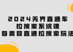 2024无界直通车·拉搜索系统课:各类目直通车 拉搜索玩法!