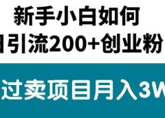 新手小白日引流200+创业粉,通过卖项目月入3W+