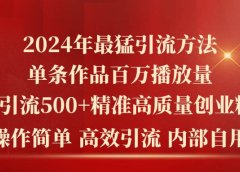 2024年最猛暴力引流方法，单条作品百万播放 单日引流500+高质量精准创业粉
