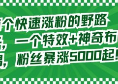 两个快速涨粉的野路子,一个特效+神奇布偶,粉丝暴涨5000起!
