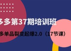 拼多多第37期培训班:拼多多单品裂变起爆2.0(17节课)