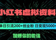 小红书虚拟资料日引流200+创业粉，单日变现5000+