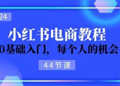 2024从0-1学习小红书电商,0基础入门,每个人的机会(44节)