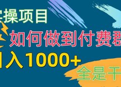 [实操项目]付费群赛道，日入1000+